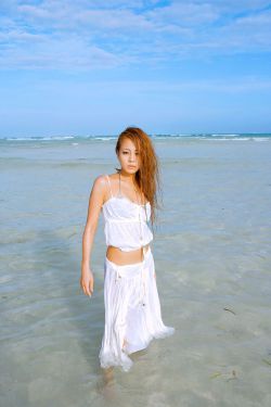 金装四大才子电视剧